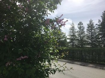 Reykjadalur 3* Hveragerdi